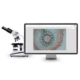 virtualis-mikroszkop virtualis-mikroszkop
